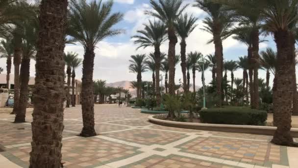 Eilat, İsrail - Palmiye ağaçlı park alanı — Stok video
