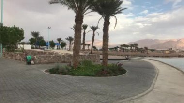Eilat, İsrail - Palmiye ağaçlı park alanı Bölüm 3