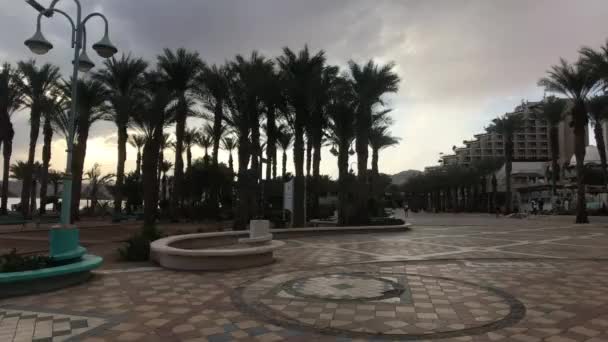 Eilat, Israel - palmeiras no fundo do pôr-do-sol da noite — Vídeo de Stock