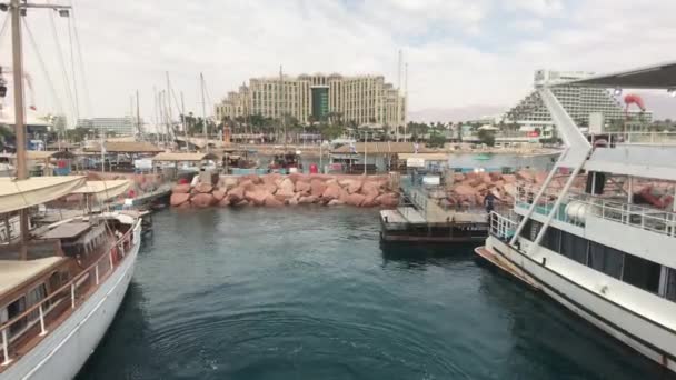 Eilat, Israël - Navires touristiques portuaires partie 7 — Video