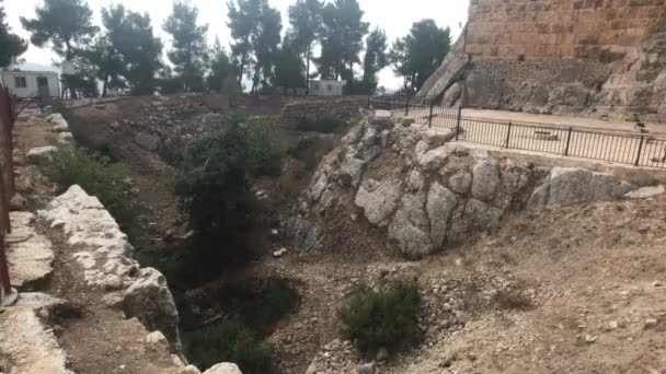 Айлун, Иордания - каменные стены исторического замка — стоковое видео