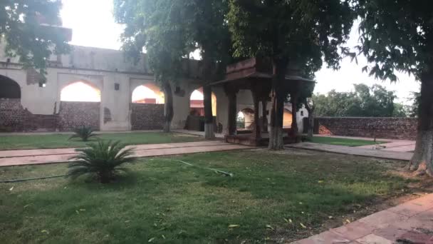 Fatehpur Sikri, India Restos de vegetación en la jungla de piedra parte 2 — Vídeos de Stock