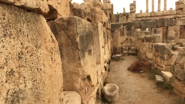 Irak al Amir, Jordanië - stenen muren van weleer deel 4 — Stockvideo