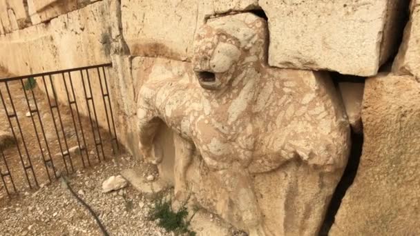 Iraq al Amir, Jordan - ancient images on the walls of ruins — Stock Video