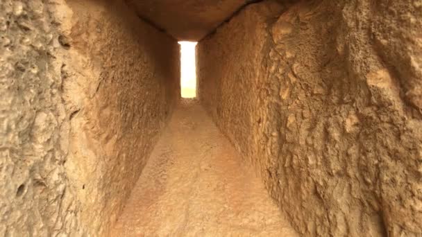 イラク・アル・アミール、ヨルダン-歴史的精神を持つ古代の壁パート2 — ストック動画