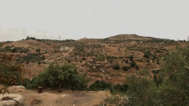 イラク・アル・アミール、ヨルダン-村の道路からの山の峡谷の眺め第2部 — ストック動画