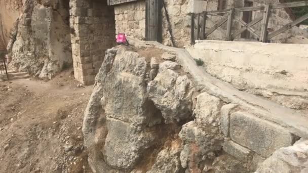 ヨルダンのアジュルン-歴史的な城の石の壁パート6 — ストック動画