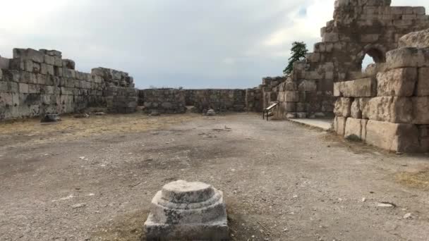 Amman, Jordanie - 15 octobre 2019 : les touristes traversent les ruines de la citadelle — Video