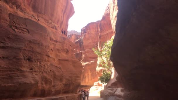 Petra, Jordanien - 17 oktober 2019: Turnégrupper studerar kanjon del 2 — Stockvideo