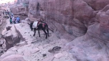 Petra, Ürdün - 17 Ekim 2019: Güzel dağlar vadisinde turistler Bölüm 11