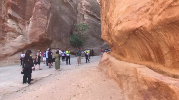 Petra, Jordánsko - 17. října 2019: turisté spěchají úzkými průchody mezi horami část 3 — Stock video