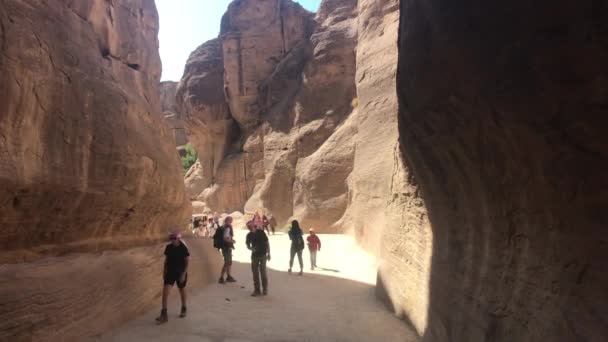 Petra, Jordânia - 17 de outubro de 2019: turistas se movem entre montanhas sob o sol escaldante parte 6 — Vídeo de Stock