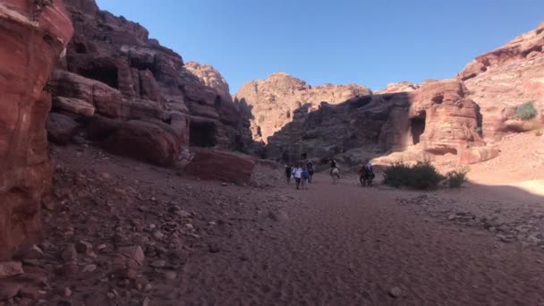 Petra, Jordânia - 17 de outubro de 2019: grupos turísticos estudam canyon parte 6 — Vídeo de Stock