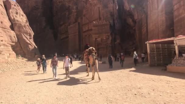 Petra, Jordânia - 17 de outubro de 2019: turistas correm por passagens estreitas entre as montanhas parte 17 — Vídeo de Stock