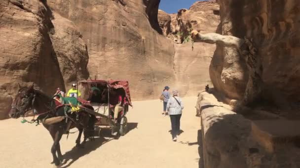 Petra, Jordania - 17 października 2019: turyści poruszają się między górami pod palącym słońcem część 7 — Wideo stockowe