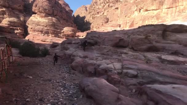 ペトラ,ヨルダン- 2019年10月17日:観光客が崖の部分1に沿って歩く — ストック動画