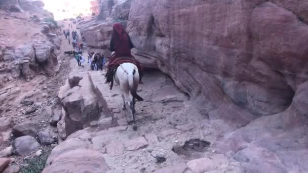 Petra, Jordanien - 17. Oktober 2019: Touristen im Tal der schönen Berge Teil 15 — Stockvideo