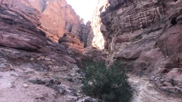 Petra, Jordanie - canyons avec une histoire centenaire partie 5 — Video