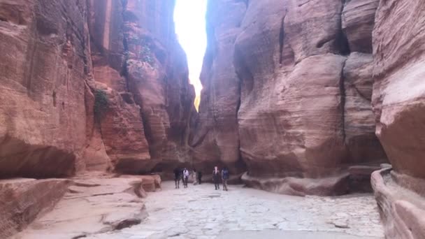 Petra, Jordanië - 17 oktober 2019: reisgroepen bestuderen canyon — Stockvideo