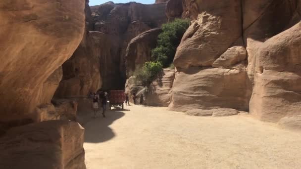 Petra, Ιορδανία - 17 Οκτωβρίου 2019: τουρίστες στην κοιλάδα των όμορφων βουνών μέρος 5 — Αρχείο Βίντεο