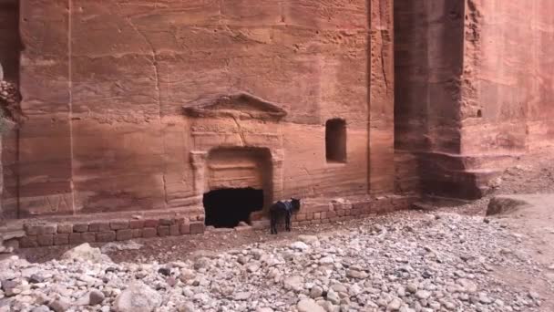 Petra, Jordanien - berg och klippor med en fantastisk historia del 5 — Stockvideo
