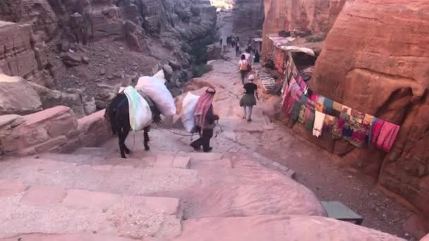 Petra, Jordánsko - 17. října 2019: turisté v údolí krásných hor část 12 — Stock video