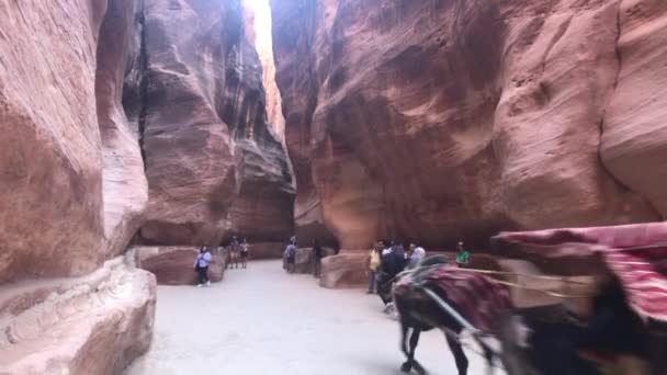 Petra, Jordan - 17 жовтня 2019: туристи досліджують руїни стародавніх будівель у кам "яній частині. — стокове відео