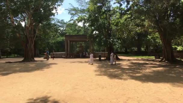 Anuradhapura, Sri Lanka, día soleado en Kings Park — Vídeo de stock