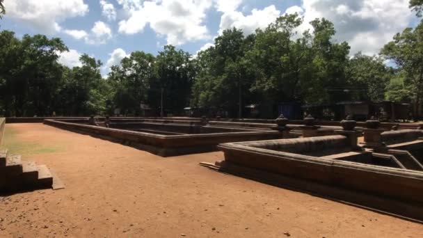 Anuradhapura, Sri Lanka, bosque cerca de las ruinas — Vídeo de stock