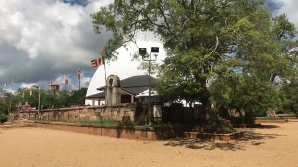 Anuradhapura, Sri Lanka, een blik door de takken van een kleine Dagoba — Stockvideo