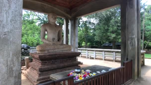 Анурадхапура, Шри-Ланка, памятник Будде в лесу — стоковое видео