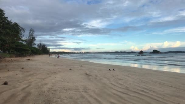 Weligama, Sri Lanka, la amplia playa y el mar tranquilo — Vídeos de Stock