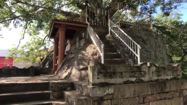 Anuradhapura, Sri Lanka, una escalera al árbol sagrado — Vídeos de Stock