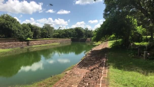 Anuradhapura, Sri Lanka, elephant pond top view — Stock Video