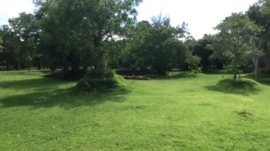 Anuradhapura, Sri Lanka, çimenler, çalılar ve ormanın başlangıcı