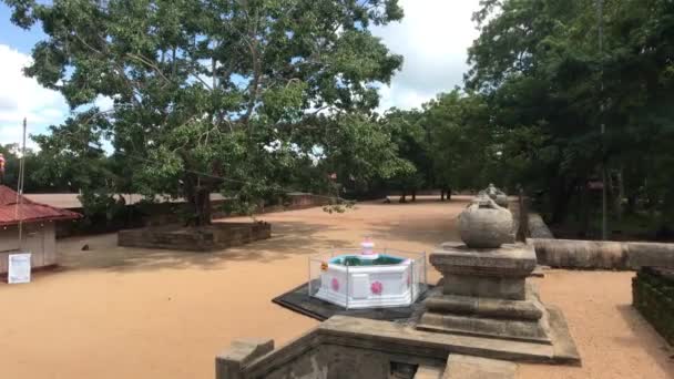 Anuradhapura, Sri Lanka, liten fontän vid ingången — Stockvideo