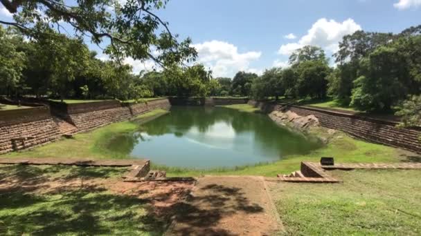 Anuradhapura, Srí Lanka, pohled zepředu na rybník pro slony — Stock video