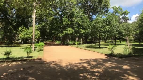 Anuradhapura, Sri Lanka, crossroads in the park — 图库视频影像