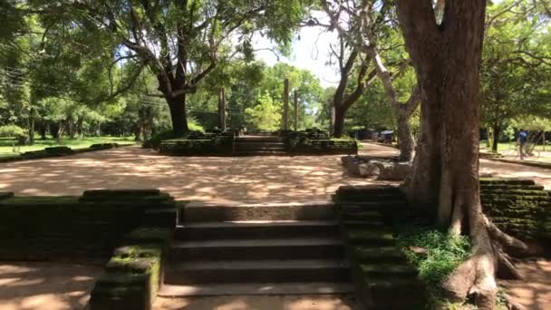 스리랑카의 아누라 자푸라, 왕실 공원에 있는 계단 과 폐허 — 비디오