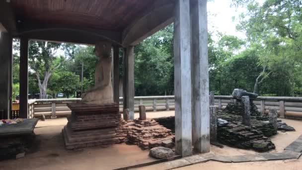 Anuradhapura, Srí Lanka, Buddha emlékmű hátulról — Stock videók