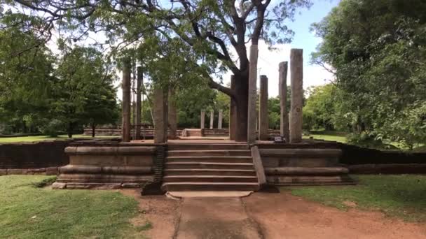Anuradhapura, Sri Lanka, de ruïnes van pilaren in het park — Stockvideo
