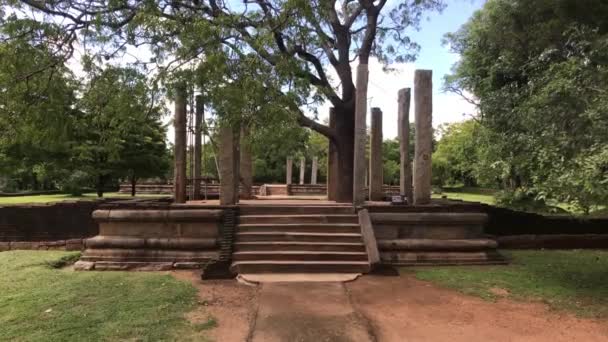 Anuradhapura, Srí Lanka, zřícenina pilířů v parku — Stock video