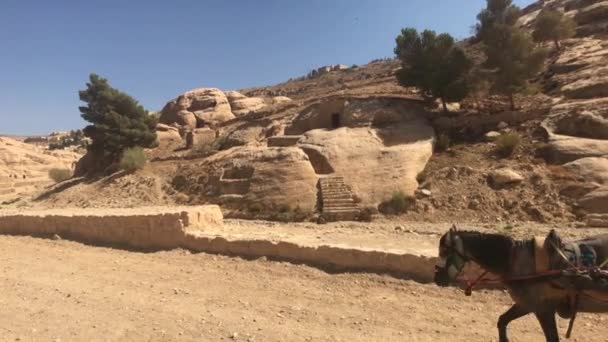 Петра, Йорданія - 17 жовтня 2019: туристи переїжджають між горами під палючим сонцем. — стокове відео