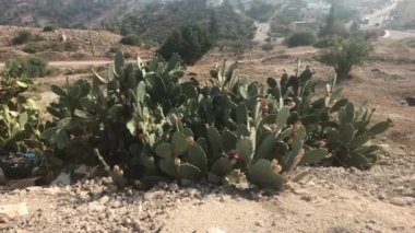 Umm Qais, Ürdün - antik zamanların kalıntıları bina 2 bölüm