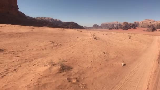 Wadi Rum, Jordan - Martian landscapes in the desert part 12 — Αρχείο Βίντεο