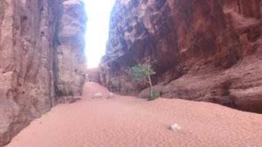 Wadi Rum, Jordan - whimsical cliffs created by time in the desert part 5