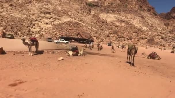 Wadi Rum, Jordania - Safari en jeep en el desierto con arena roja parte 9 — Vídeo de stock