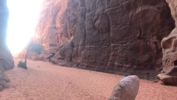 Wadi Rum, Jordan - pink cliffs and red sand in the desert part 3 — Stockvideo