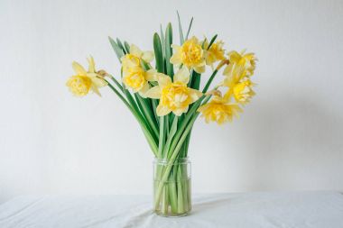 Sarı nergis. Bahar çiçek. Girişleri için bir yer. Yazıt için bir yer. Nergis bir vazoda buket. Parlak bahar iç. Satılık çiçekler. Romantik hediye. Bahar hediye. Mart 8. Kadınlar Günü. Annenin das. Çiçek satışı.