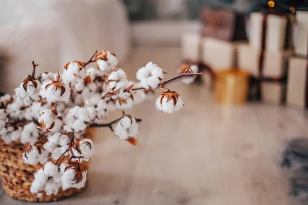 White Cotton Bouquet Christmas House — Stock Photo, Image